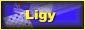 Ligy v SR a �R
